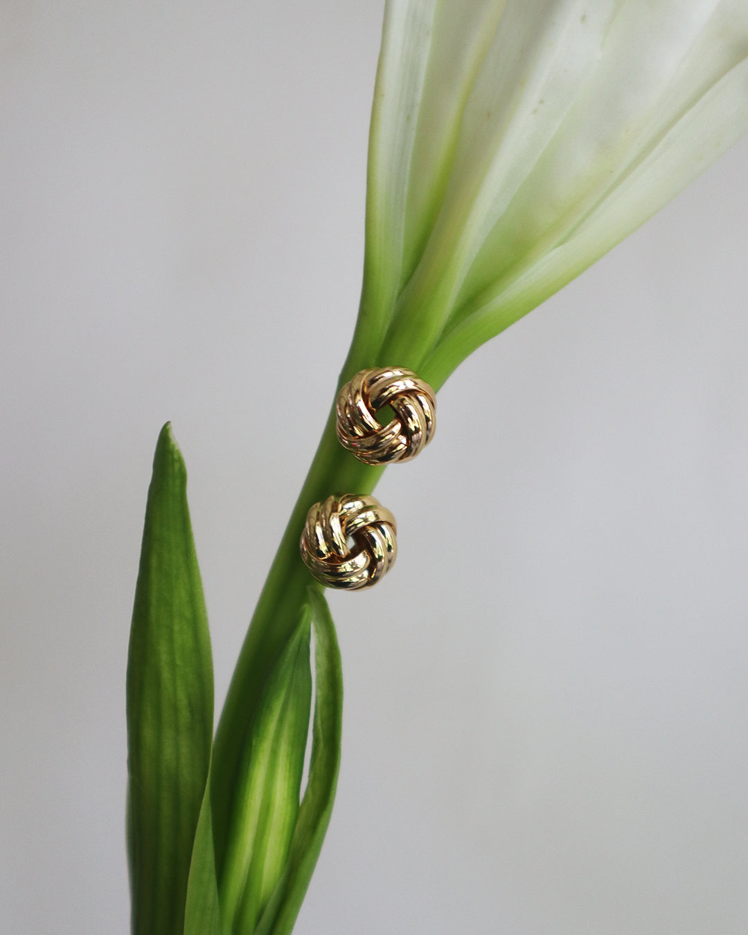 Con Cariño Earrings - Pair of gold knot stud earrings displayed on the stem of a white lily, showcasing their polished finish and elegant, timeless design against a soft neutral background.