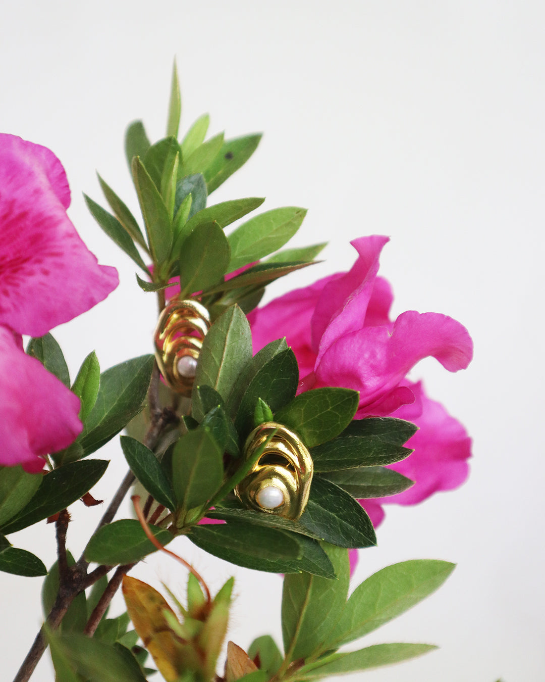 Con Cariño Earrings - Gold abstract pearl earrings nestled among vibrant pink flowers and lush green leaves, showcasing a modern design inspired by organic shapes and natural beauty.