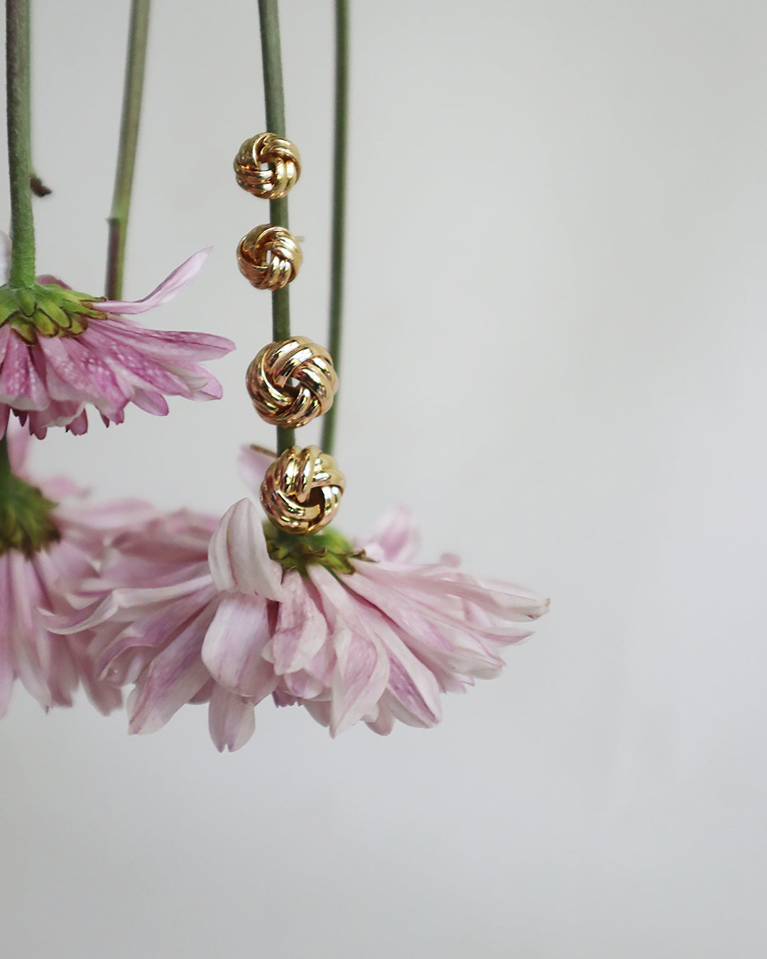 Con Cariño Earrings - Gold knot stud earrings in various sizes styled on soft pink chrysanthemums, highlighting their elegant texture and timeless design against a neutral background.