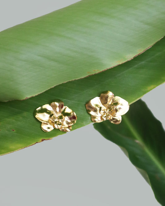 Con Cariño Earrings - Delicate gold orchid stud earrings with sculpted petals placed on layered green foliage.